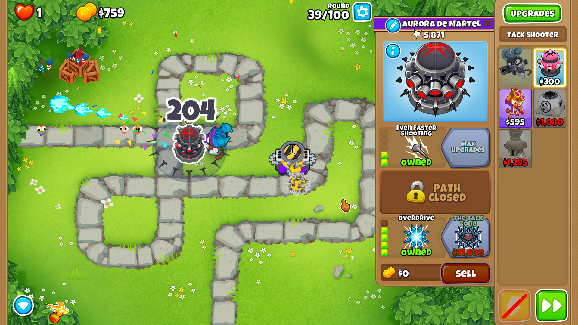 chimps